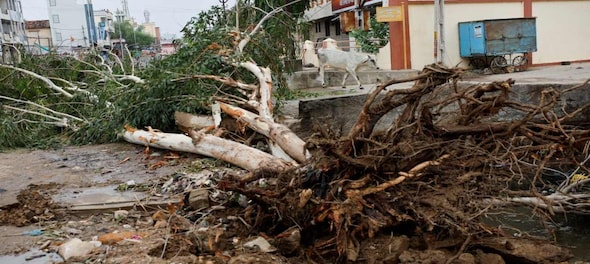 Cyclone Biparjoy impact | Gujarat devastated amid property damages, power outages; 2 dead — VIDEO