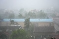 Gujarat farmers incurred Rs 1,200 crore loss due to cyclone Biparjoy: Minister