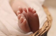 West Bengal | 10 newborns dies at Murshidabad hospital, calls for improved healthcare West Bengal | 10 newborns dies at Murshidabad hospital, calls for improved healthcare
