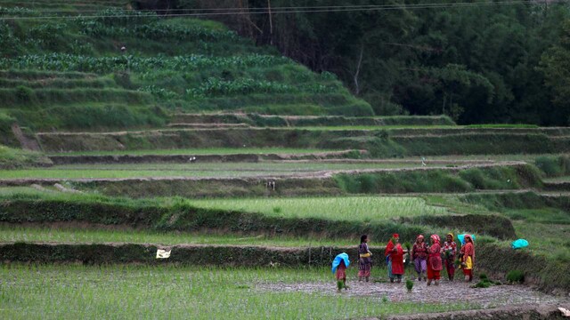 India hopes for abundant monsoon rains with El Nino weakening; here's ...