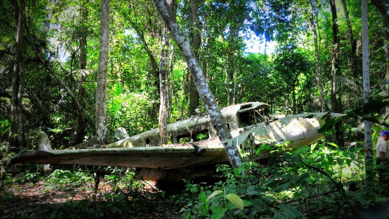 4 Indigenous Siblings Rescued From Jungle 40 Days After Amazon Plane ...