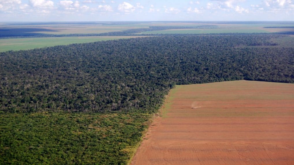 O plano do presidente Lula para eliminar o desmatamento na Amazônia até 2030