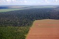 Explained | Brazil President Lula's plan to eliminate deforestation in Amazon by 2030