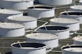 Indian refiners buy more US crude as Russia sanctions tighten