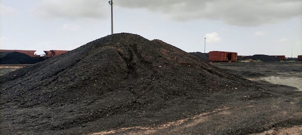 India permits import of pet coke as raw material for lithium-ion batteries