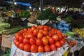 Pune tomato farmer earns Rs 3 crore in a month