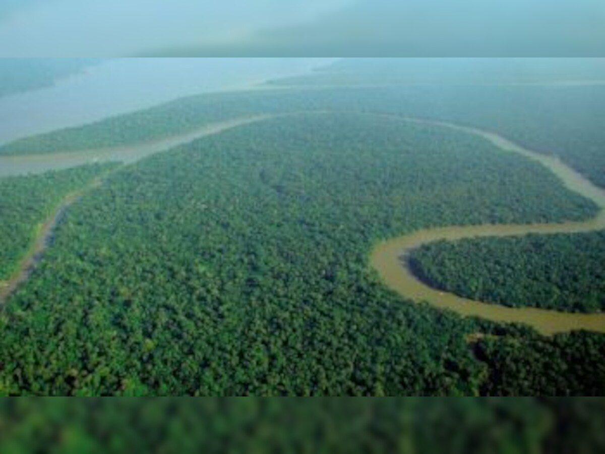 Protecting  Rainforest Would Bring Brazil Billions Of