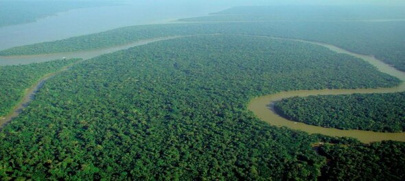 Eight South American countries form alliance to protect Amazon ...