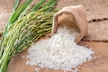 India prohibits export of non-basmati white rice