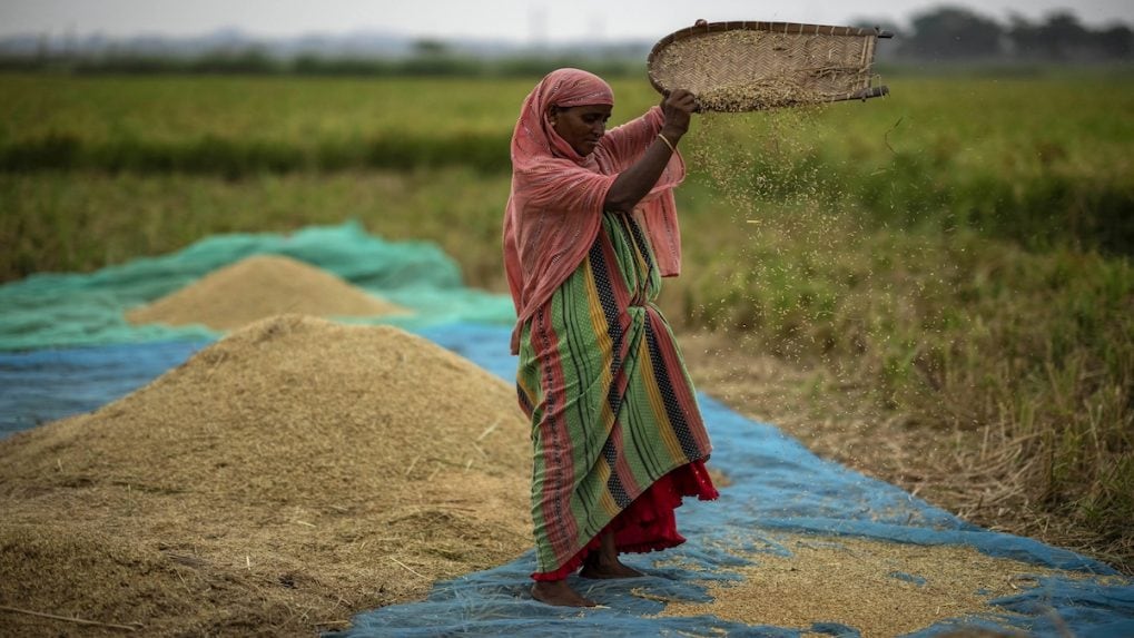 Interim Budget 2024-25 — empowering women farmers through cultivating  equality and sustainability