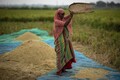 India eyes doubling cash handout for women farmers ahead of Lok Sabha poll, says report