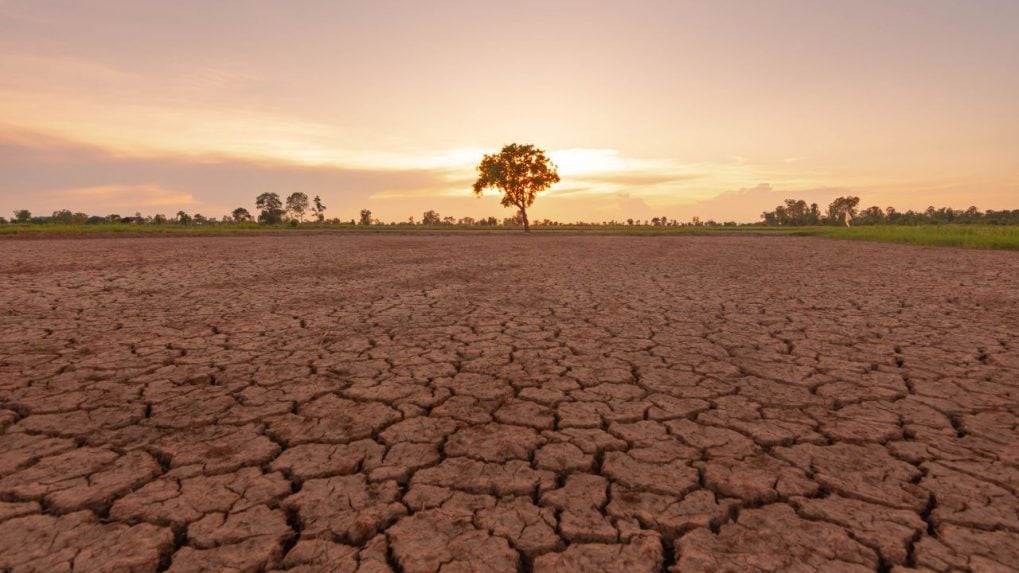 El Nino will brew up potent new economic storm