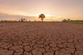 2023-24 El Nino among five strongest on record, will continue impacting global climate this year