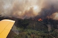 Greece wildfires continue to burn for seventh day, more tourists likely to fly out today
