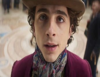 Timothee Chalamet cast as young Willy Wonka in Roald Dahl prequel