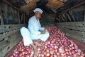 Nashik onion traders suspend auctions indefinitely in protest against export duty hike