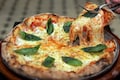 Cricket World Cup boost: Nuvama's Abneesh Roy prefers this pizza player