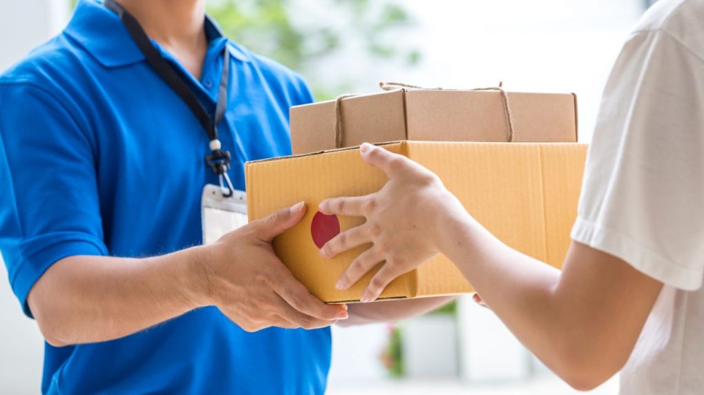 Which Courier Companies Offer Express Courier Services? - Nimbuspost