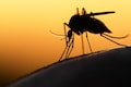 AI powered microscope installed in Odisha district to detect malaria