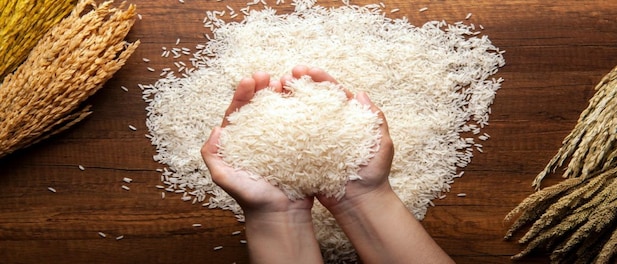 India grants rice export to Singapore to help bolster island nation's food  security
