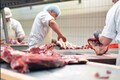 Ganesh Chaturthi 2023: Bengaluru civic body bans animal slaughtering and sale of meat