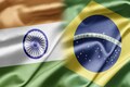 Brazil will head G20 building on India's achievements, relations are beyond sugar disputes: Ambassador