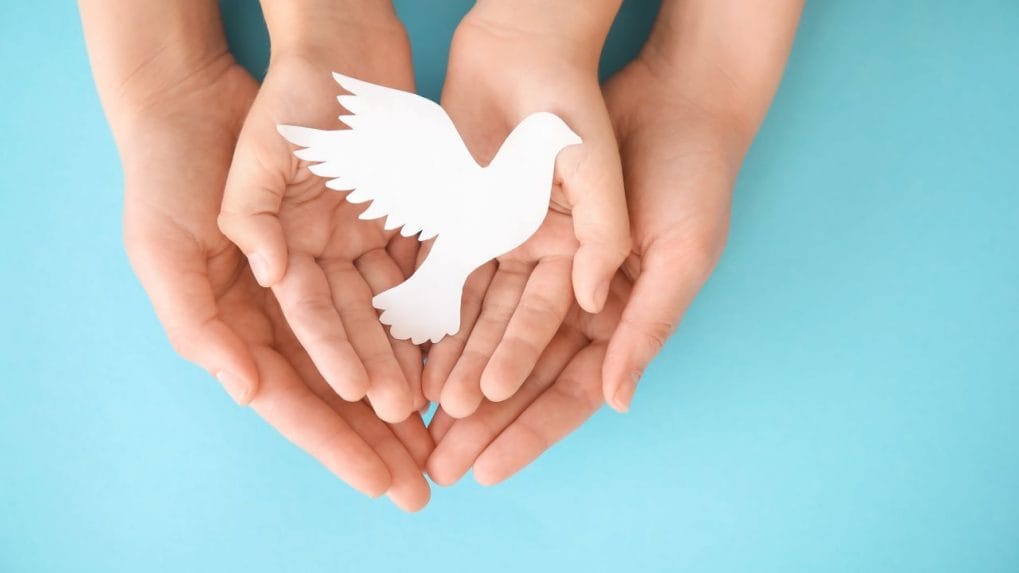 International Day of Peace 2023: History, Significance and Theme - CNBC TV18