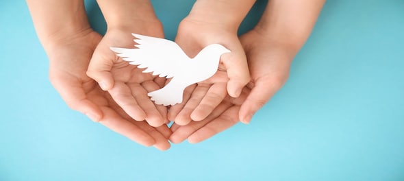 International Day of Peace 2023: History, Significance and Theme