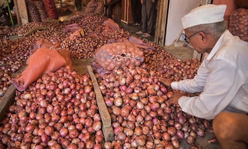 Maharashtra govt bats for revoking ban on onion exports amid rising resentment among traders