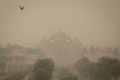 Delhi pollution: Schools asked to suspend physical classes until November 10