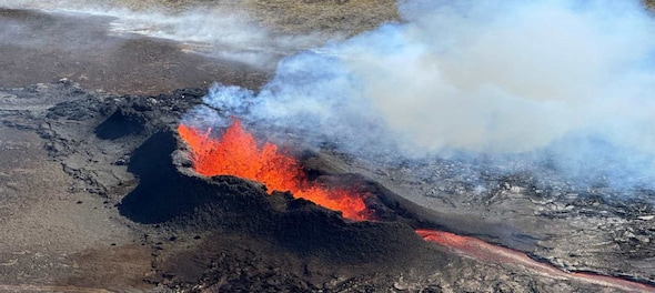 Iceland shaken by 800 earthquakes, volcanic eruption fears rise