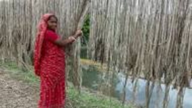 Why safeguarding India's jute industry is critical - CNBC TV18