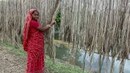Zoomed Out | Why safeguarding India's jute industry is critical
