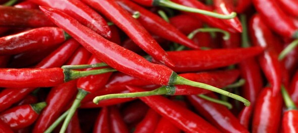Can you guess why people in warm countries eat spicy food?