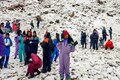 Let it snow, let it snow: Tourists throng Himachal as fresh snowfall brings wintry weather
