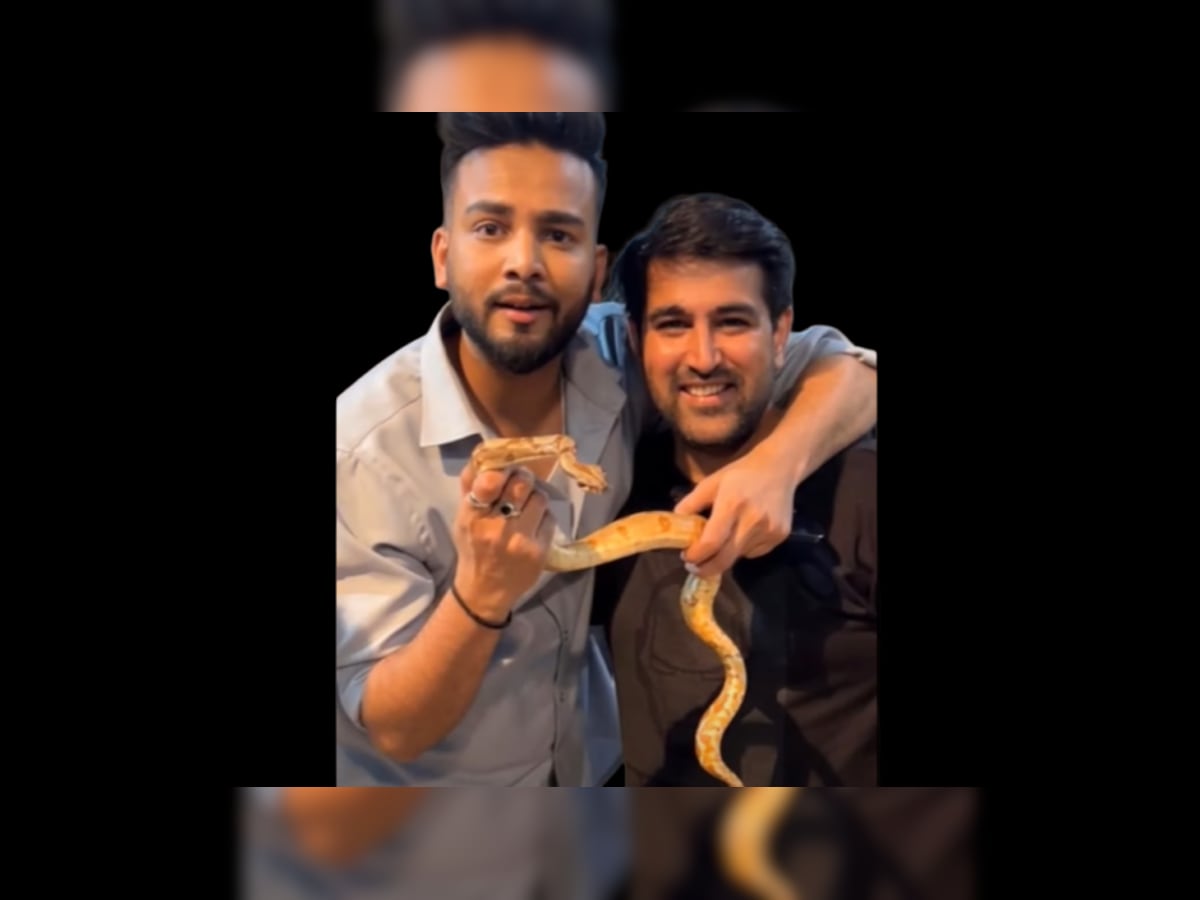 FIR against Bigg Boss OTT fame Elvish Yadav puts spotlight on new trend of snake  venom addiction