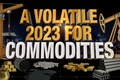 The commodity report card | A wrap of 2023 and what's in store for investors in 2024