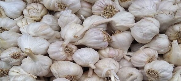 Garlic prices hit new high amid dwindling supplies