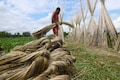 Cabinet Committee on Economic Affairs approves reservation norm for mandatory use of jute bags in foodgrains packaging