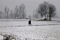 Fresh snowfall blankets Kashmir, Gulmarg records minus 10.6 degrees celsius