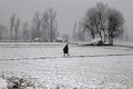 Fresh snowfall blankets Kashmir, Gulmarg records minus 10.6 degrees celsius