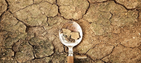 Zoomed Out | Why India’s sustainability policy needs to factor food, water and land together  