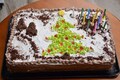 Merry Christmas 2023: Lip-smacking rum cake, plum cake recipes
