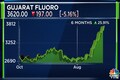 Here's why Gujarat Fluorochemicals stock traded under pressure on January 5