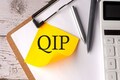 Macrotech Developers QIP: GQG Partners among those allotted shares