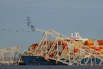 Baltimore’s Francis Scott Bridge collapse disrupts major East Coast shipping hub: Key facts