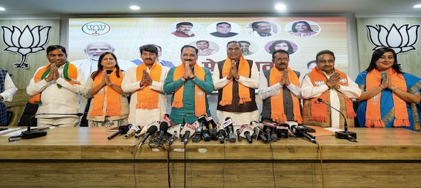 Lok Sabha elections 2024, Delhi: Know the BJP candidates in national capital