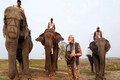 PM Modi enjoys elephant and jeep safaris at Kaziranga National Park; marvels at its beauty