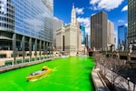 St Patrick's Day – When Chicago revellers paint the town green