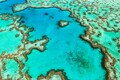 Australia's Great Barrier Reef hit by most extensive bleaching event on record